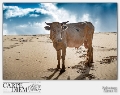 DESERT COW